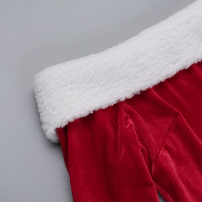 Close-up Detail - Santa Dress