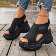 Black / 36