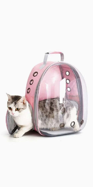 Portable transparent cat carrier with breathable design, allowing pet to travel comfortably.