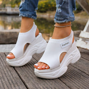 White / 36