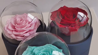 Elegant rose bouquet in glass domes, preserved floral arrangement for birthdays and Valentine's Day gift at K-AROLE.