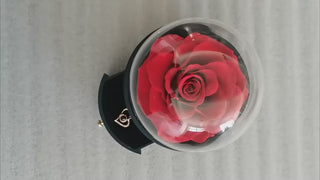 Elegant rose jewelry box with necklace display, perfect for birthdays and Valentine's Day gifts