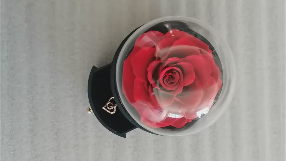 Elegant rose jewelry box with necklace display, perfect for birthdays and Valentine's Day gifts